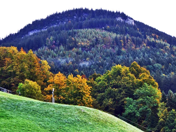 Осенние Цвета Лесах Альпштайна Долины Реки Тур Кантон Санкт Галлен — стоковое фото