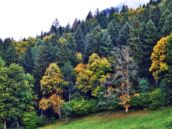 Fall Colors Forests Alpstein Mountain Range Thur River Valley Canton — Stock Photo, Image