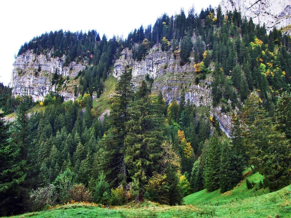 Herbstfarben Den Wäldern Des Alpsteingebirges Und Des Thur Flusstals Kanton — Stockfoto