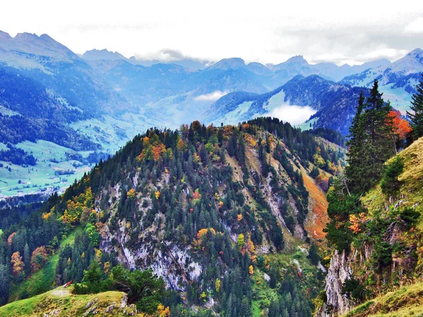 Colori Della Caduta Nelle Foreste Della Catena Montuosa Alpstein Valle — Foto Stock