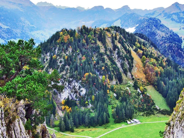 Alpstein 木川の渓谷 ザンクトガレン スイス カントンの森の秋の色 — ストック写真