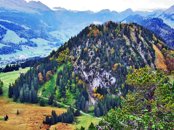 阿尔普斯坦山脉和图尔河谷森林中的秋天的颜色 瑞士圣加仑州 — 图库照片