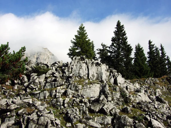 Stenen Rotsen Uit Bergmassief Alpstein Kanton Gallen Zwitserland — Stockfoto