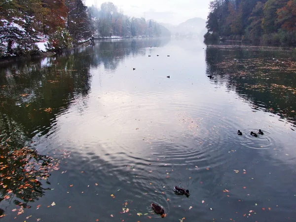 冬へ秋からシッター川と貯水池 Gubsensee ザンクト ガレンのカントン スイス連邦共和国の峡谷のエリアに突然の移行 — ストック写真