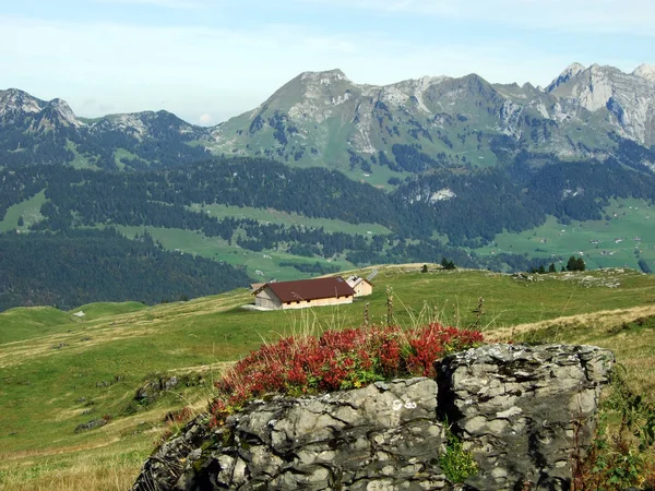 Fermes Rurales Montagne Architecture Traditionnelle Dans Vallée Rivière Thur Canton — Photo