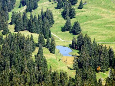 Churfirsten dağ silsilesi - Canton St. Gallen, İsviçre'nin çimenli plato üzerinde küçük bir göl