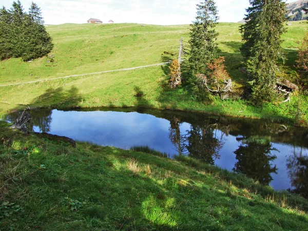 Churfirsten ザンクト ガレンのカントン スイス連邦共和国の草で覆われた高原の小さな湖 — ストック写真