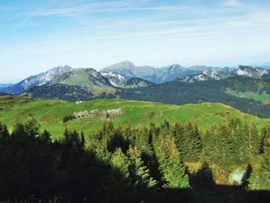 Dağ Churfirsten - Canton St. Gallen, İsviçre altında plato üzerinde yaprak dökmeyen ağaçlar