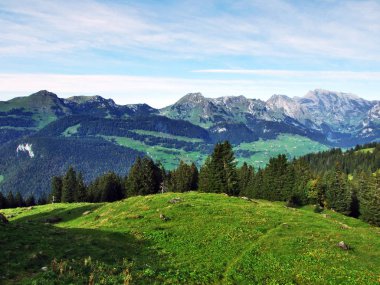 Dağ Churfirsten - Canton St. Gallen, İsviçre altında plato üzerinde yaprak dökmeyen ağaçlar