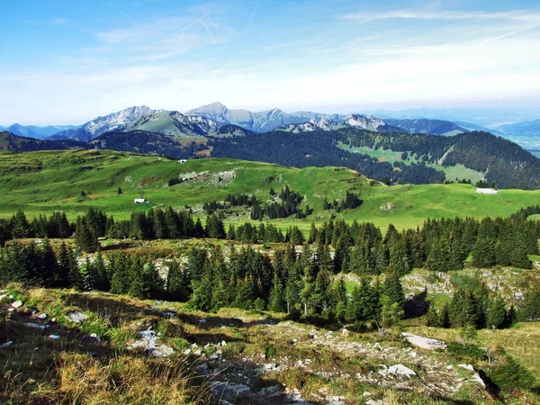 山の範囲 Churfirsten ザンクト ガレンのカントン スイス連邦共和国の下に高原の常緑樹 — ストック写真