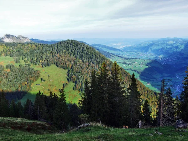 Lasy Dolinie Rzeki Thur Lub Thurtal Dolinie Kantonu Gallen Szwajcaria — Zdjęcie stockowe