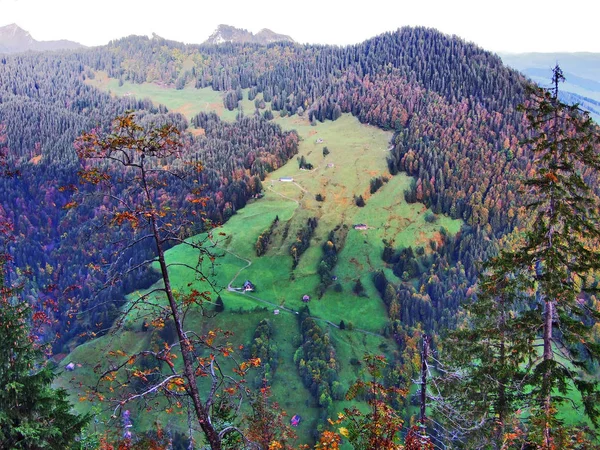 Bosques Valle Del Río Thur Valle Del Thurtal Cantón Gallen —  Fotos de Stock