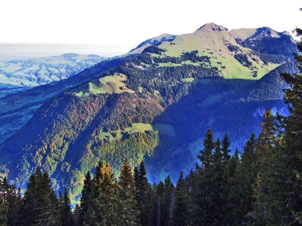 Lasy Dolinie Rzeki Thur Lub Thurtal Dolinie Kantonu Gallen Szwajcaria — Zdjęcie stockowe