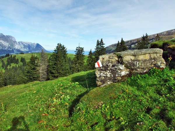 Pedras Cordilheira Churfirsten Cantão Gallen Suíça — Fotografia de Stock