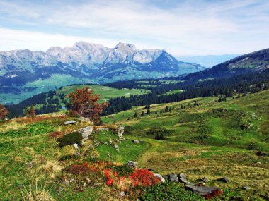 Sonbahar otlak ve dağ Churfirsten - Canton St. Gallen, İsviçre altında plato üzerinde hills