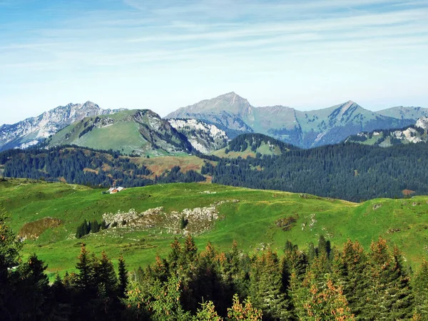 Herbstweiden Und Hügel Auf Dem Plateau Unterhalb Der Bergketten Churfirsten — Stockfoto