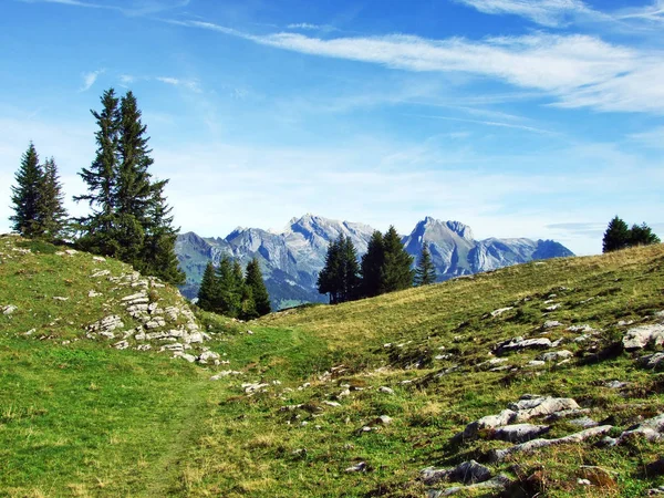 Herbstweiden Und Hügel Auf Dem Plateau Unterhalb Der Bergketten Churfirsten — Stockfoto