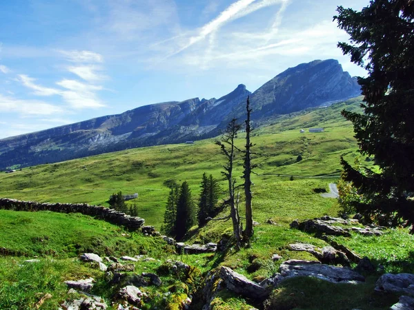 Herfst Weiden Heuvels Het Plateau Onder Bergketens Churfirsten Kanton Gallen — Stockfoto