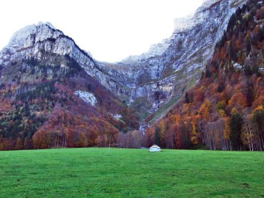 Sonbahar otlak ve göl Klontalersee vadisinde veya Klontal Vadisi - Canton Glarus, İsviçre çiftlikleri