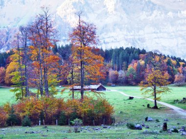 Sonbahar otlak ve göl Klontalersee vadisinde veya Klontal Vadisi - Canton Glarus, İsviçre çiftlikleri
