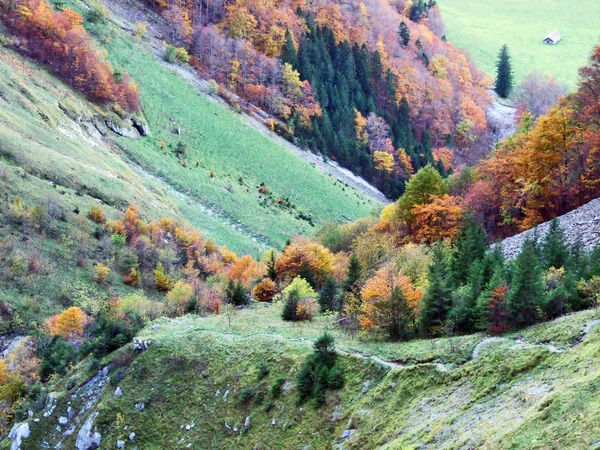Podzim Pastviny Hospodářství Údolí Jezera Klontalersee Nebo Klontal Údolí Kanton — Stock fotografie