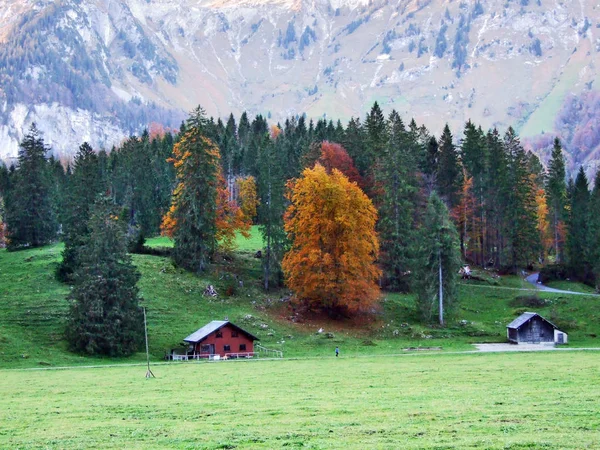 秋牧场和农场在湖 Klontalersee 山谷或在 Klontal 格拉鲁斯州 — 图库照片