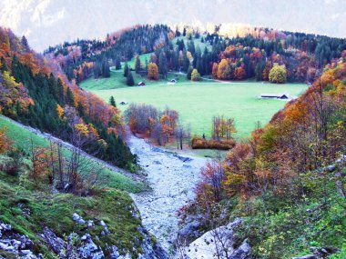 Autumn forest on the slopes of Klontalersee lake or Klontal valley - Canton of Glarus, Switzerland