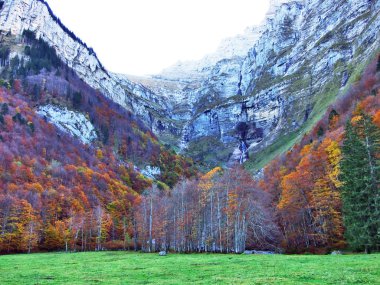 Autumn forest on the slopes of Klontalersee lake or Klontal valley - Canton of Glarus, Switzerland