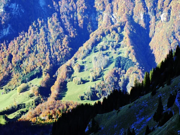 Autumn Forest Slopes Klontalersee Lake Klontal Valley Canton Glarus Switzerland — 图库照片