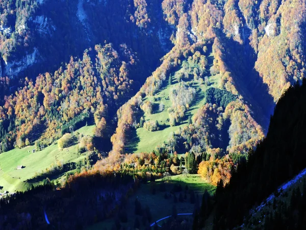 Herbstwald Den Hängen Des Klontalersees Oder Des Klontals Kanton Glarus — Stockfoto