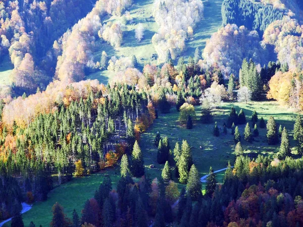 Autumn Forest Slopes Klontalersee Lake Klontal Valley Canton Glarus Switzerland — Stok fotoğraf
