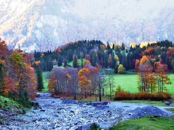 Autumn Forest Slopes Klontalersee Lake Klontal Valley Canton Glarus Switzerland — ストック写真