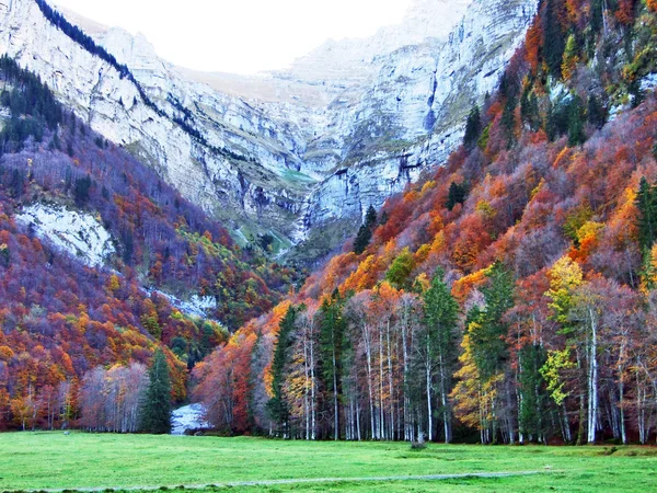 Autumn forest on the slopes of Klontalersee lake or Klontal valley - Canton of Glarus, Switzerland