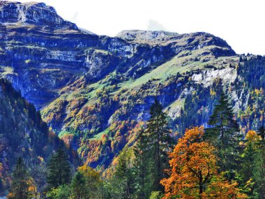 Klontalersee Gölü veya Klontal Vadisi - Canton: Glarus, Switzerland eteklerinde sonbahar orman