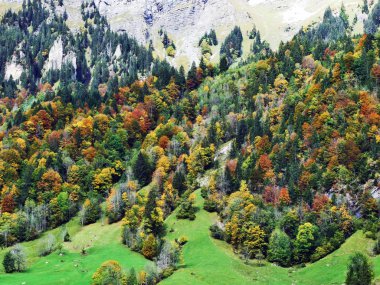 Klontalersee Gölü veya Klontal Vadisi - Canton: Glarus, Switzerland eteklerinde sonbahar orman