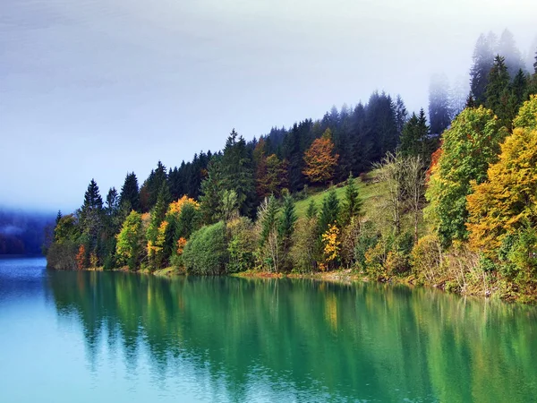 Floresta Outono Nas Encostas Lago Klontalersee Vale Klontal Cantão Glarus — Fotografia de Stock