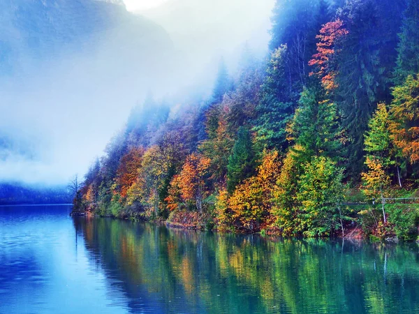 Autumn Forest Slopes Klontalersee Lake Klontal Valley Canton Glarus Switzerland — Stock Photo, Image