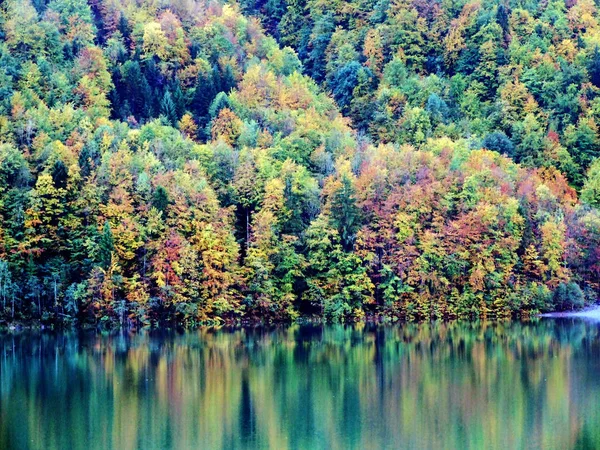 Klontalersee 湖または Klontal バレー カントン グラールス州 スイスの斜面に秋の森 — ストック写真