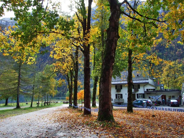 Hösten Skogen Sluttningarna Klontalersee Sjön Eller Klontal Valley Kantonen Glarus — Stockfoto