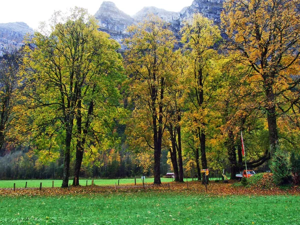 Осенний Лес Склонах Озера Клонталерзее Долины Клонталь Кантон Гларус Швейцария — стоковое фото