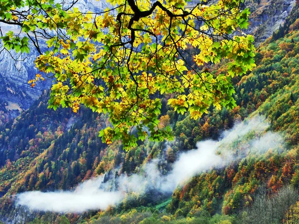 Őszi Erdő Lejtőin Klontalersee Vagy Klontal Völgy Canton Glarus Svájc — Stock Fotó