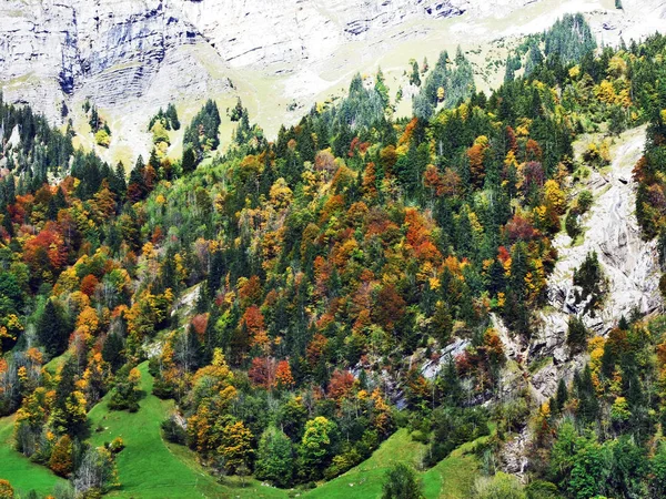 Klontalersee 湖または Klontal バレー カントン グラールス州 スイスの斜面に秋の森 — ストック写真