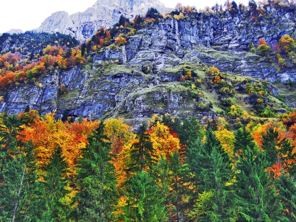 Herbstwald Hang Des Klontalersees Oder Des Klontals Kanton Glarus Schweiz — Stockfoto