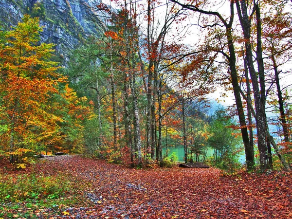 Осінній Ліс Схилах Klontalersee Озеро Або Klontal Долина Кантону Гларус — стокове фото