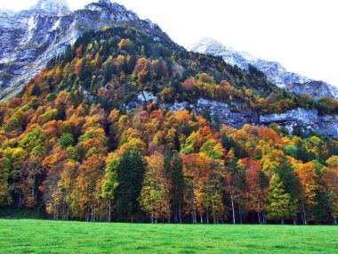 Kayalık tepe Gleiterhorn Glarus alp dağ silsilesi - Canton Glarus, İsviçre