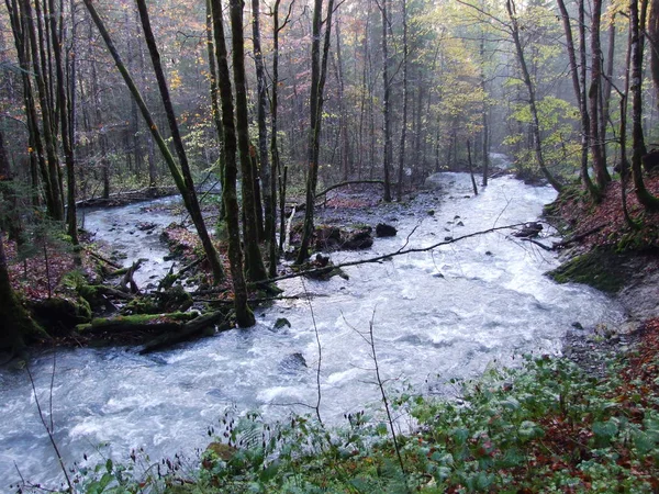 Spate Stagionali Affluenti Del Lago Del Klontalersee Cantone Glarus Svizzera — Foto Stock