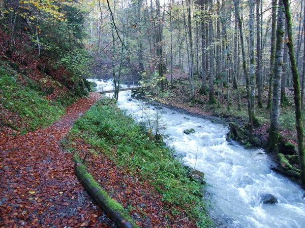 Saisonausläufer Und Nebenflüsse Des Klontalersees Kanton Glarus Schweiz — Stockfoto