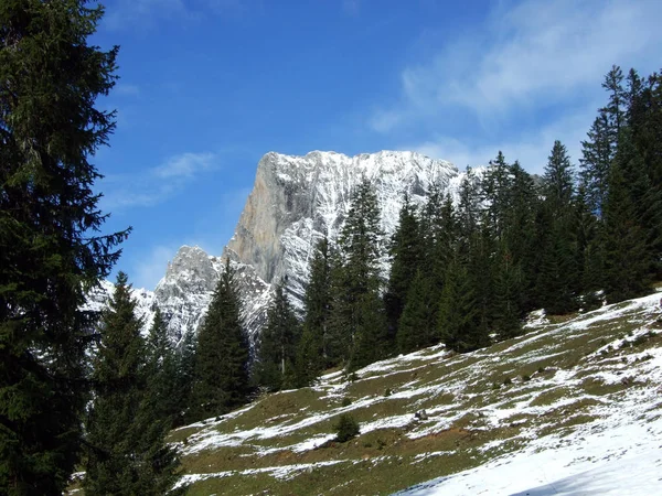 First Snow Alvier Group Mountain Range Canton Gallen Switzerland — Stockfoto