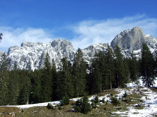 First Snow Alvier Group Mountain Range Canton Gallen Switzerland — Stockfoto