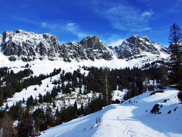 Primera Nieve Cordillera Del Grupo Alvier Cantón Gallen Suiza — Foto de Stock